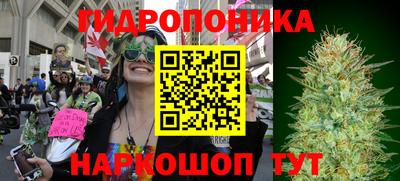 apvp Заволжье
