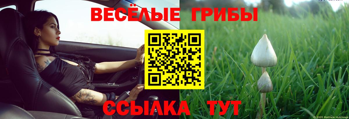 Галлюциногенные грибы MAGIC MUSHROOMS Лабытнанги